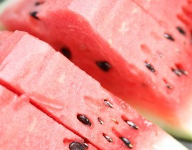 Dužina červený melón