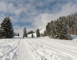 Zasnežená príroda s bežkármi