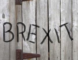 BREXIT_Lexika