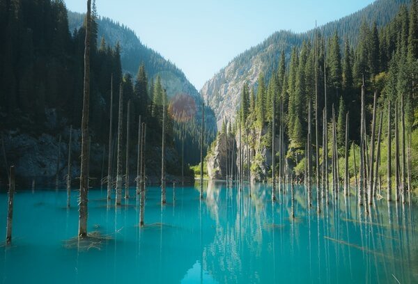 modré jazero so stromami_blue lake with trees